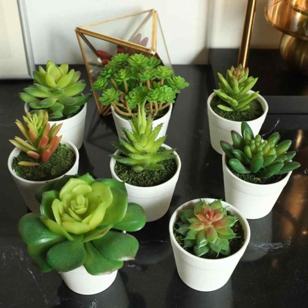 Ferramentas de jardinagem