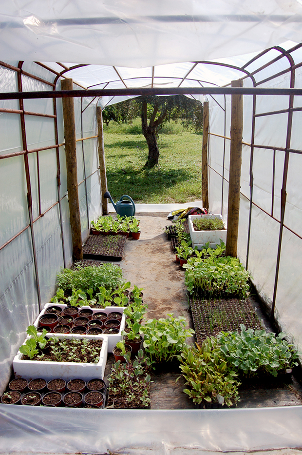 Projeto Floreando O Futuro